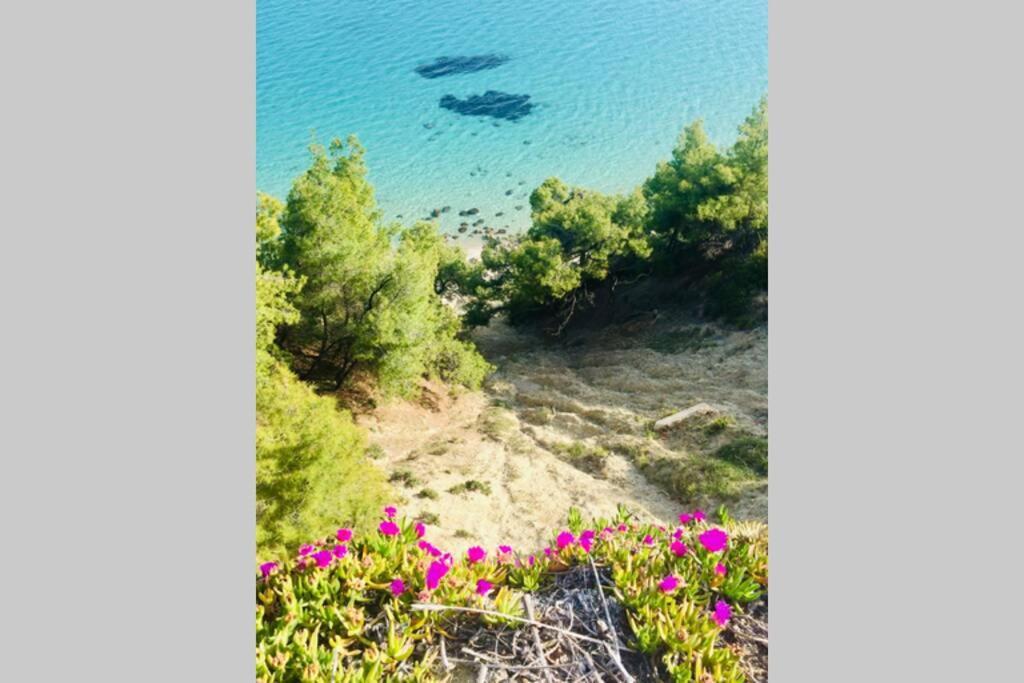 Family Apartment In Greece Kalandra Екстериор снимка